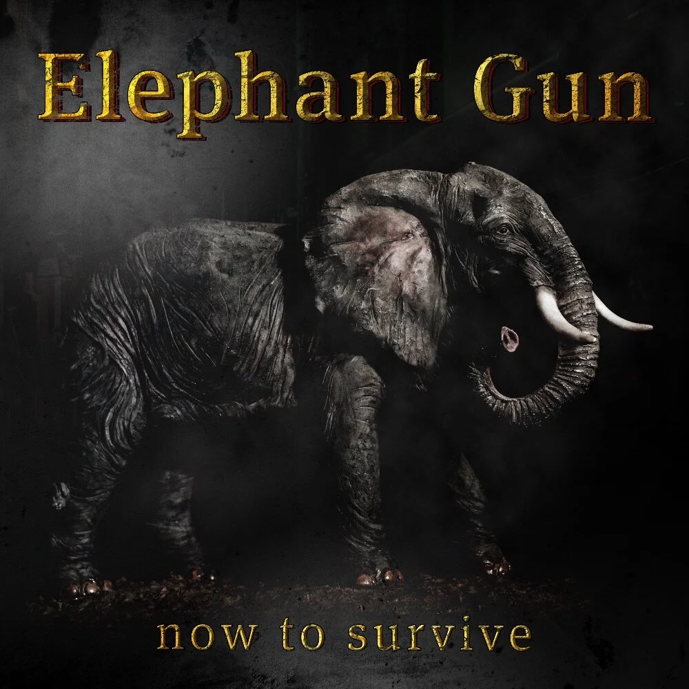 Elephant Gun Return With First Album In 20 Years!