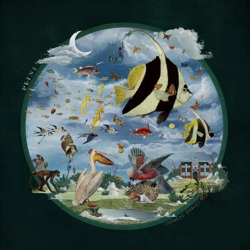 Plini Releases New Single/Video 'Papelillo' Taken From New Album 'Impulse Voices' Out November 27th