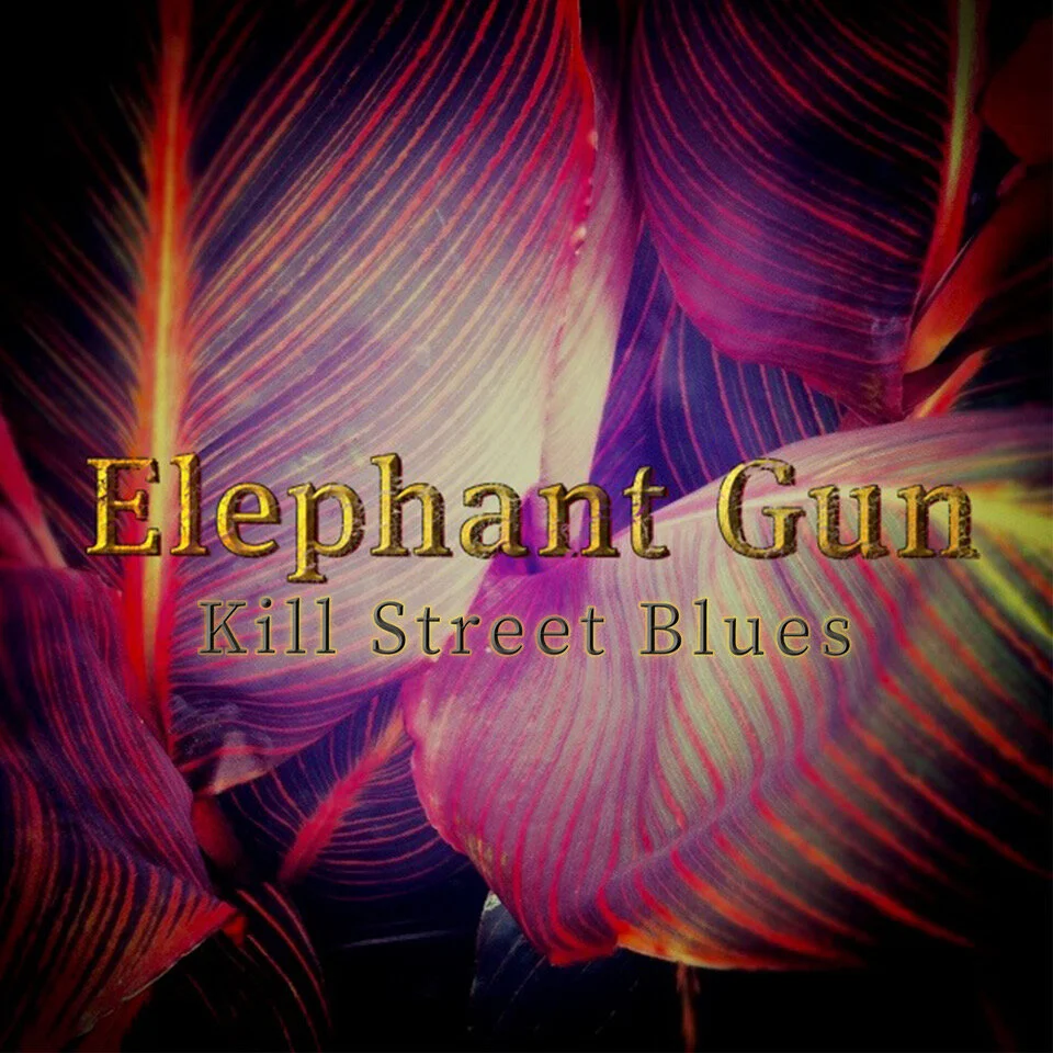 Elephant Gun - Melbourne Alt-Rockers Release New Single Kill Street Blues