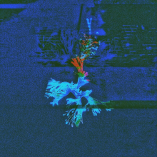 Micra Unveil New Single &amp; Video 'Coral Crush'