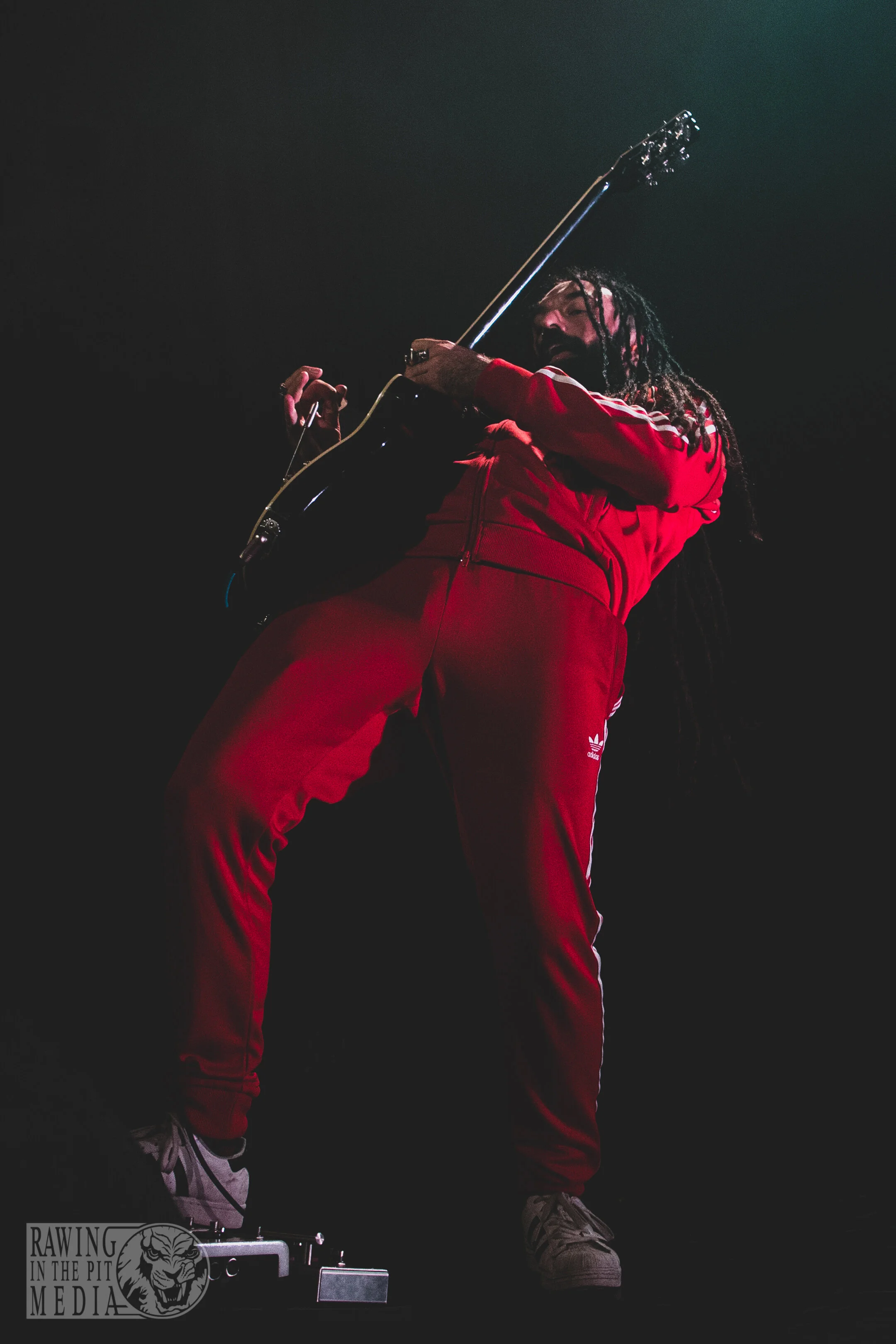 Fangz (71 of 82).jpg