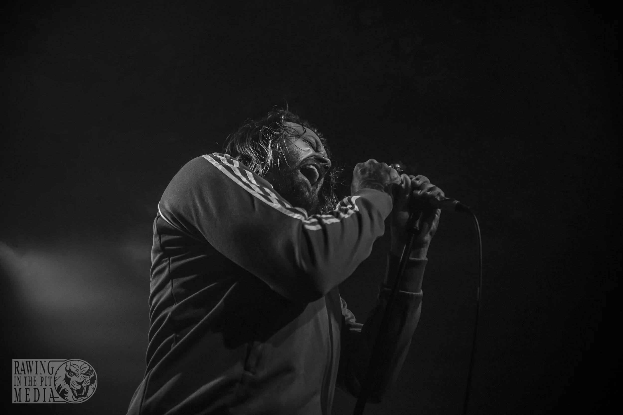 Fangz (62 of 82).jpg