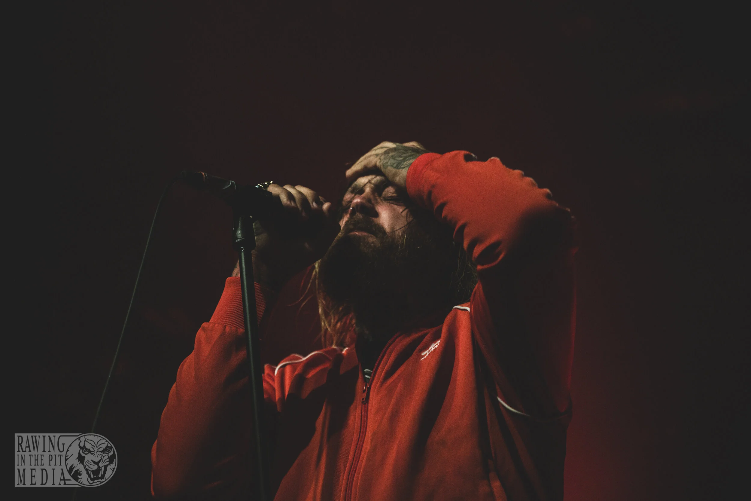 Fangz (48 of 82).jpg