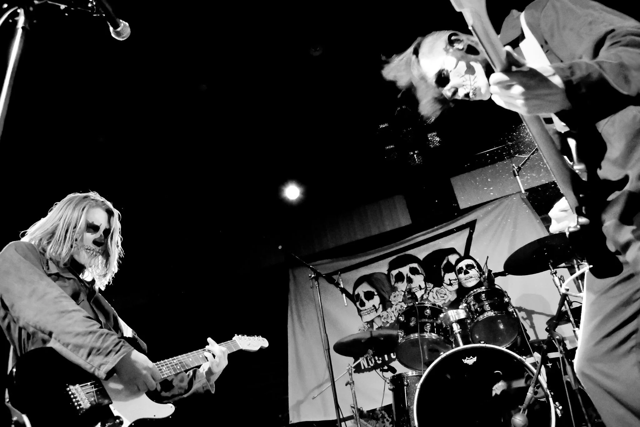 Nocturnal Animals 8.jpeg