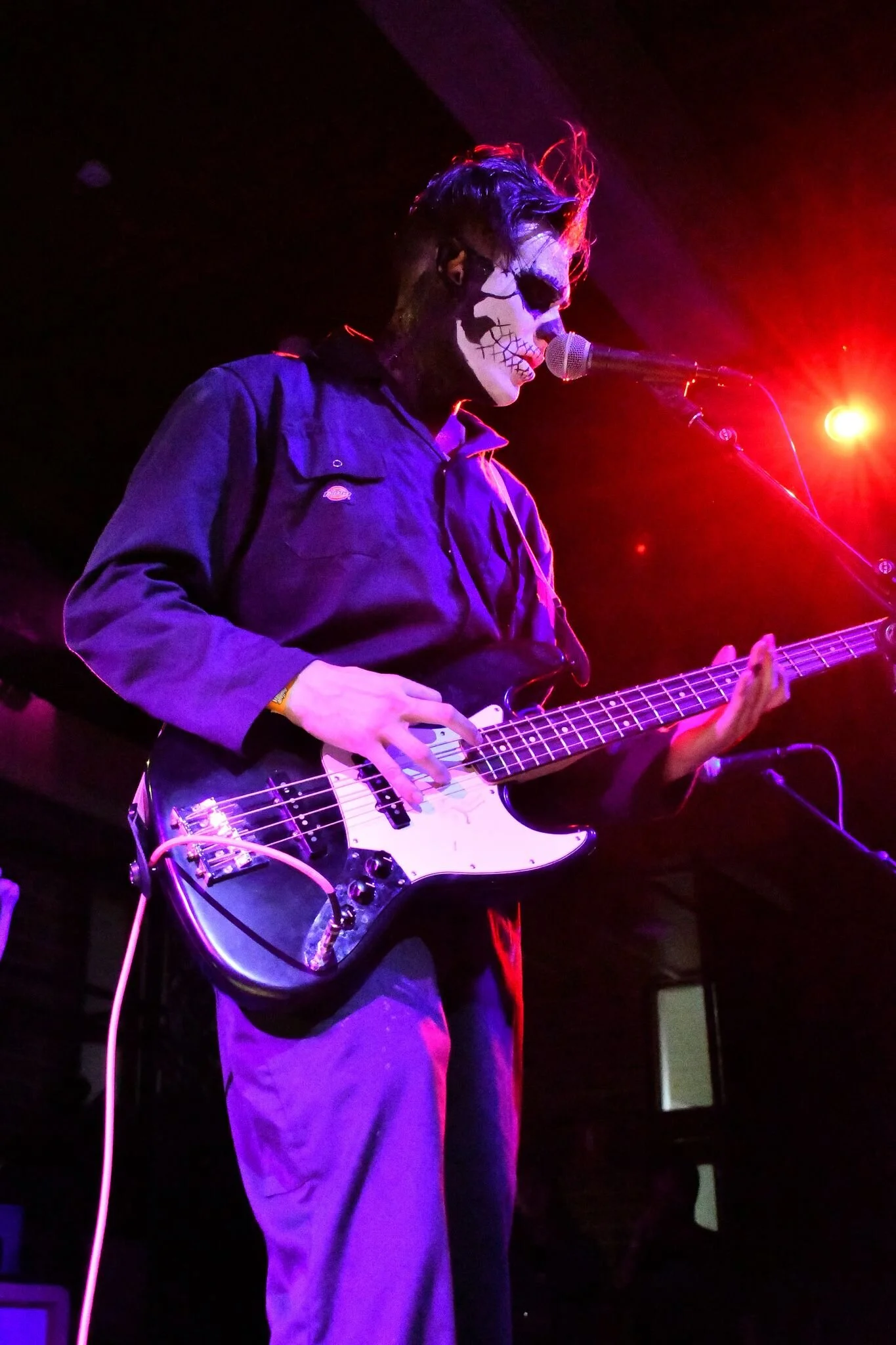 Nocturnal Animals 1.jpeg