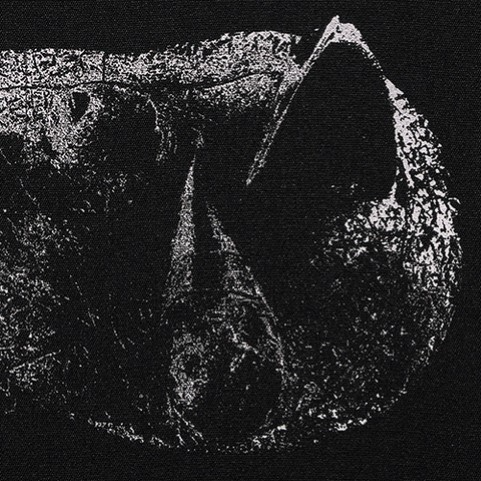 DEMON HEAD Launch video for new single "The Feline Smile”