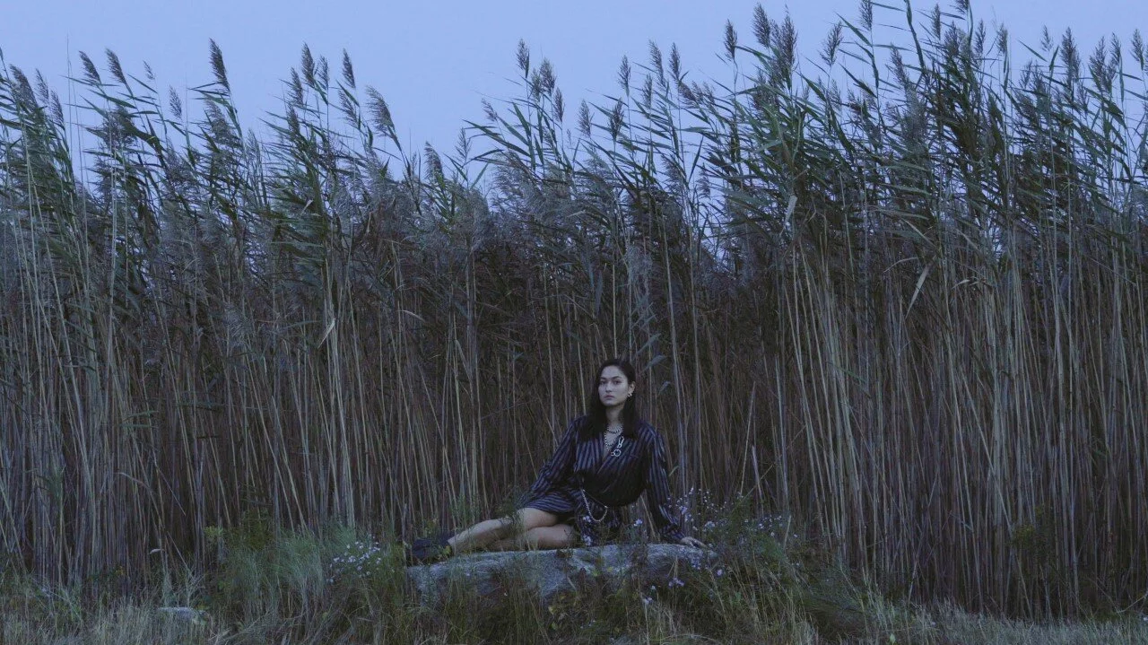 New video from lush soul pop singer Lisa Remar entitled "Sonny"