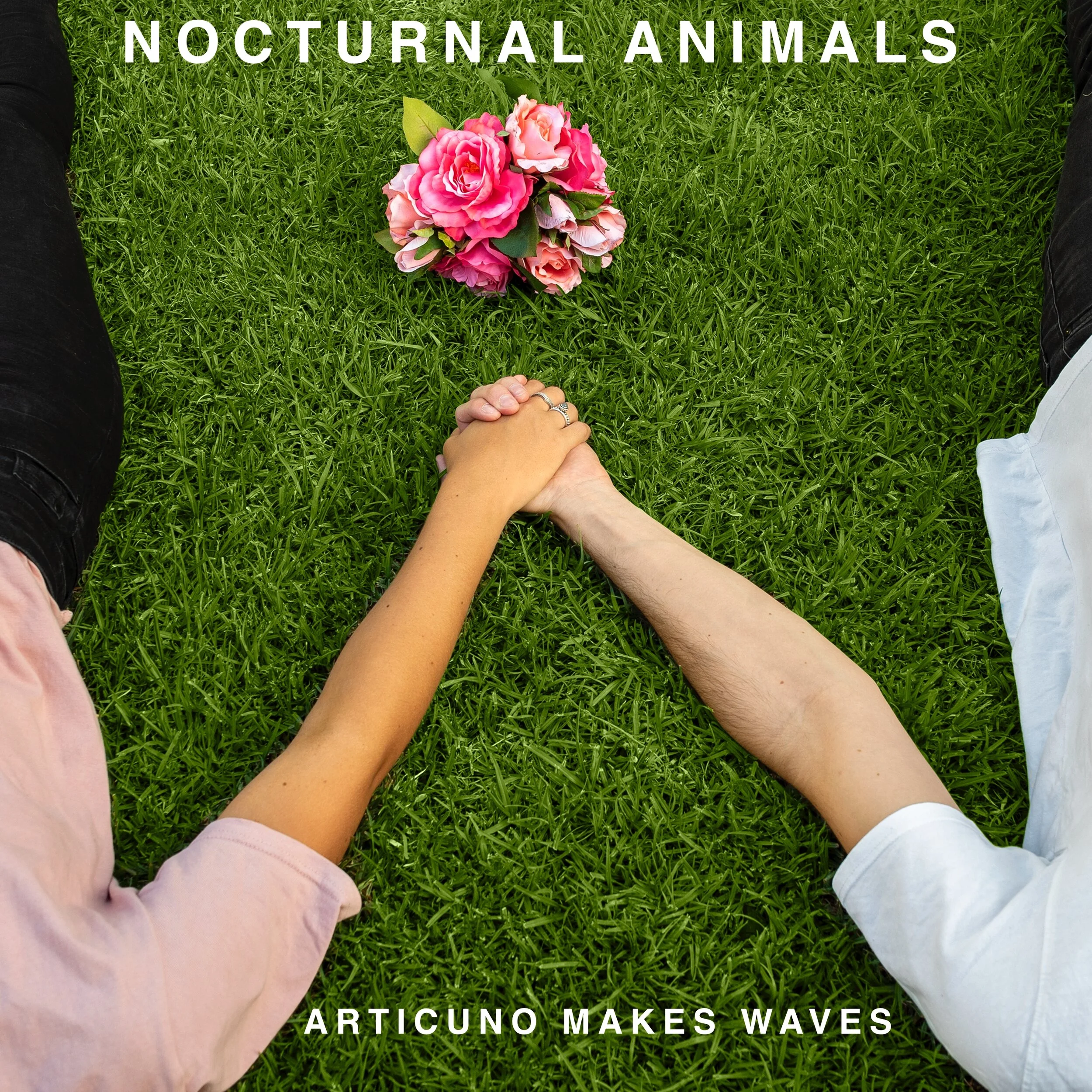 Nocturnal Animals Release Single 'Articuno Makes Waves' today