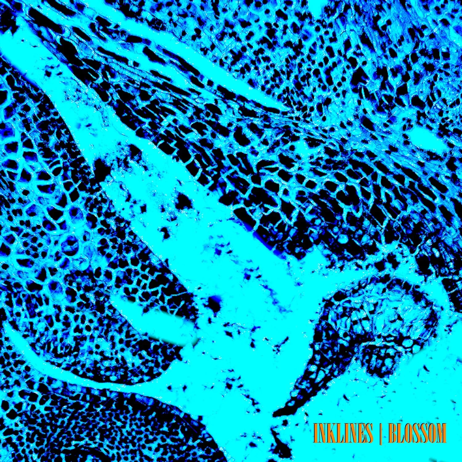 PRAISE FOR INKLINES &nbsp;“There’s no mucking about here for Inklines, it’s all uplifting and earnest rock and will charge those batteries.” Triple J, Declan Byrne  “Classic power-packed rock sound in here and the vocalist can really go when he pick…