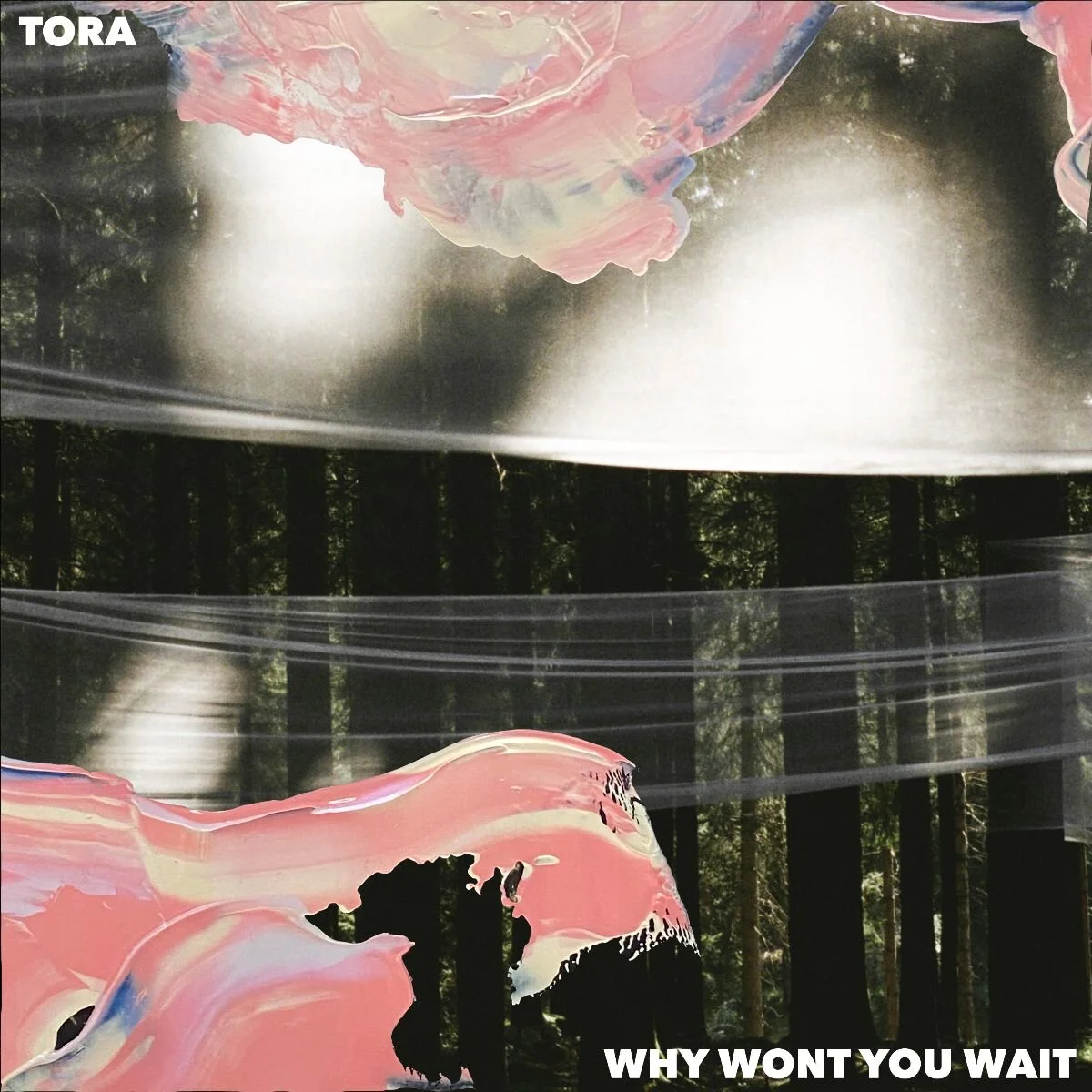 Tora announces album "A Force Majeure" + Single &amp; Video "Why Won't You Wait" + Tour Announcement!