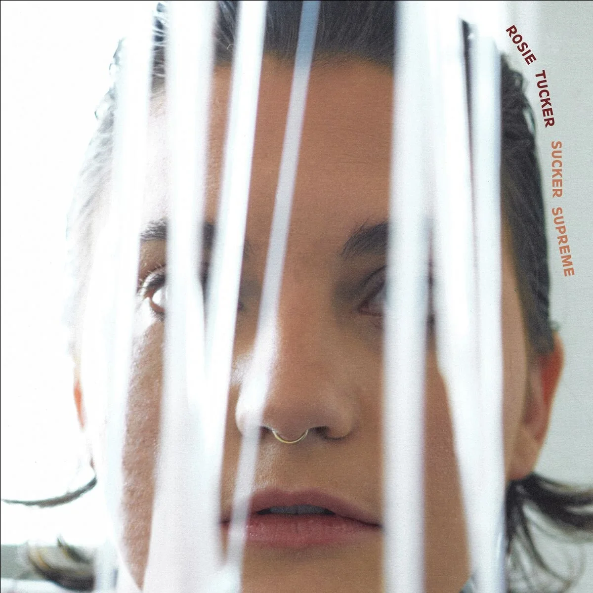 NPR Debuts New Rosie Tucker single “Barbara Ann”
