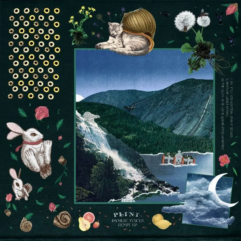 Buy/stream Impulse Voices Remix EP HERE FOLLOW PLINI: WEBSITE | FACEBOOK | INSTAGRAM | YOUTUBE  FOLLOW STEPHEN TARANTO: FACEBOOK | INSTAGRAM | YOUTUBE