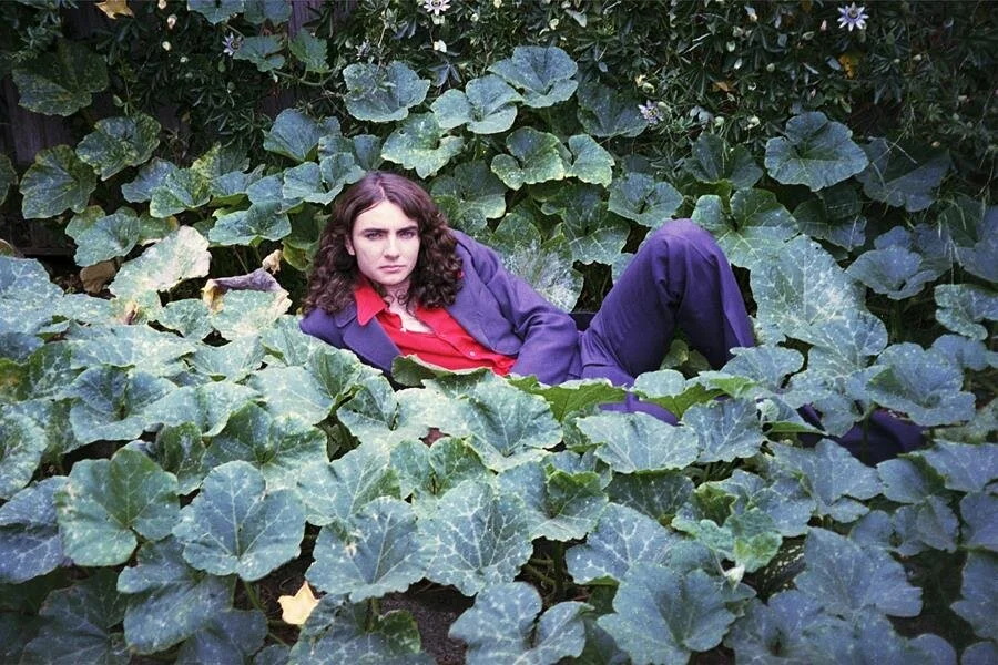 Photo credit:&nbsp;Gil Gilmour