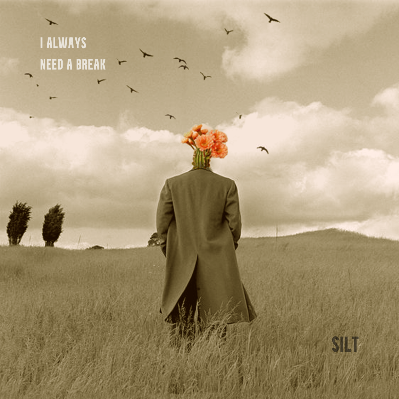 FOLLOW SILT Spotify | Apple Music | Soundcloud | Youtube Facebook | Insta: @silt_music | Triple J Unearthed