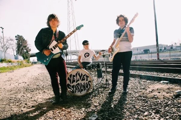 VELVET STARLINGS 1.jpeg