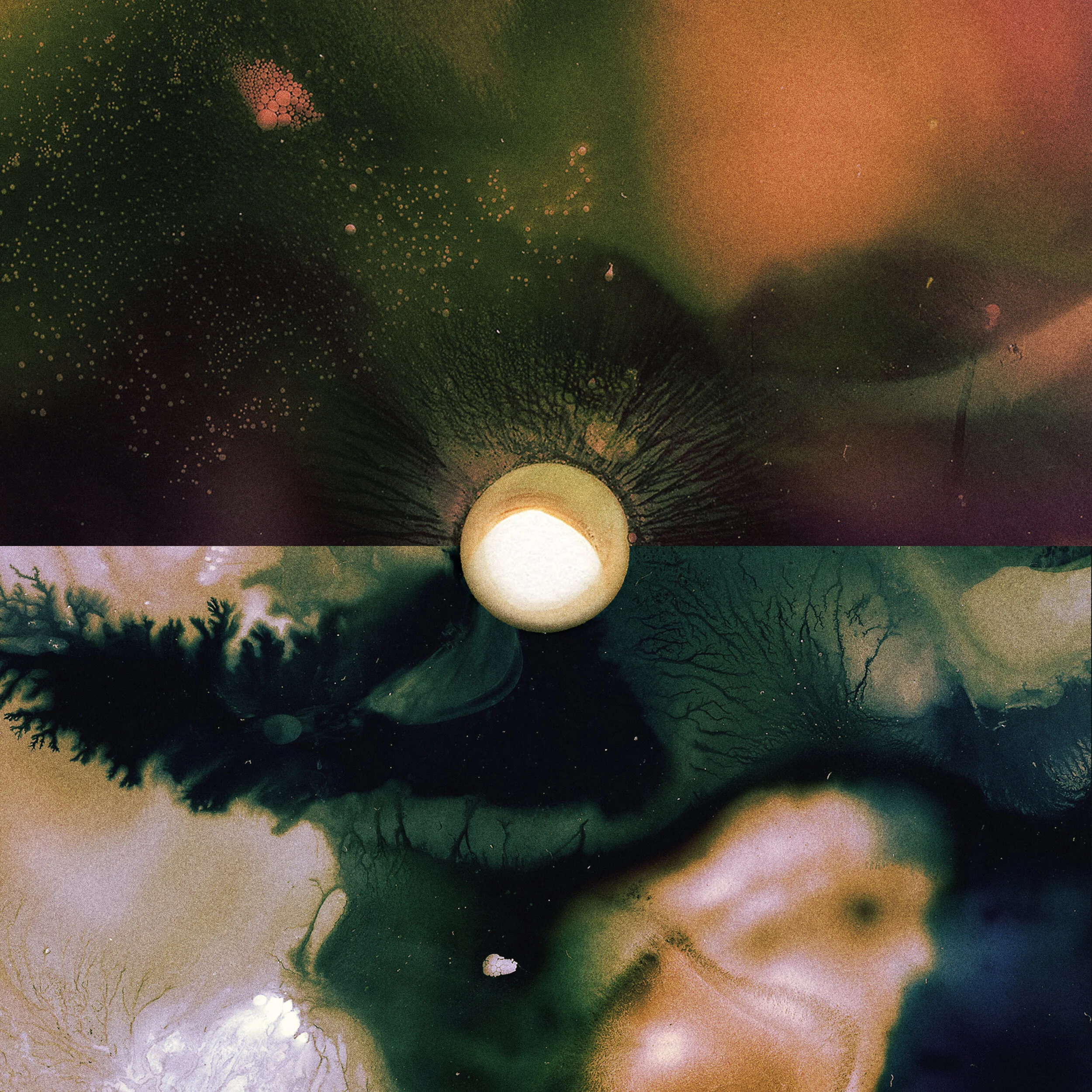 Silent Planet Return With New Single 'Panopticon'