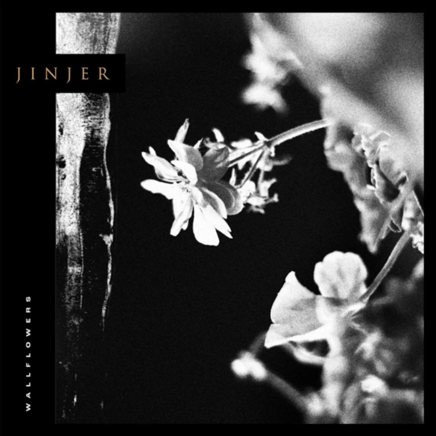 Jinjer Release Cinematic Video For “Wallflower” Highly Anticipated New Album Out Tomorrow!