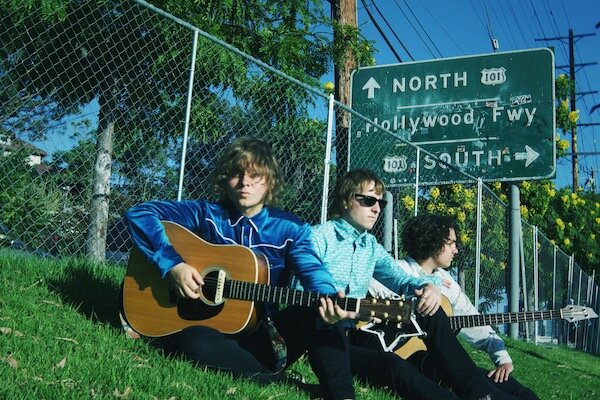 VELVET STARLINGS 1.jpeg