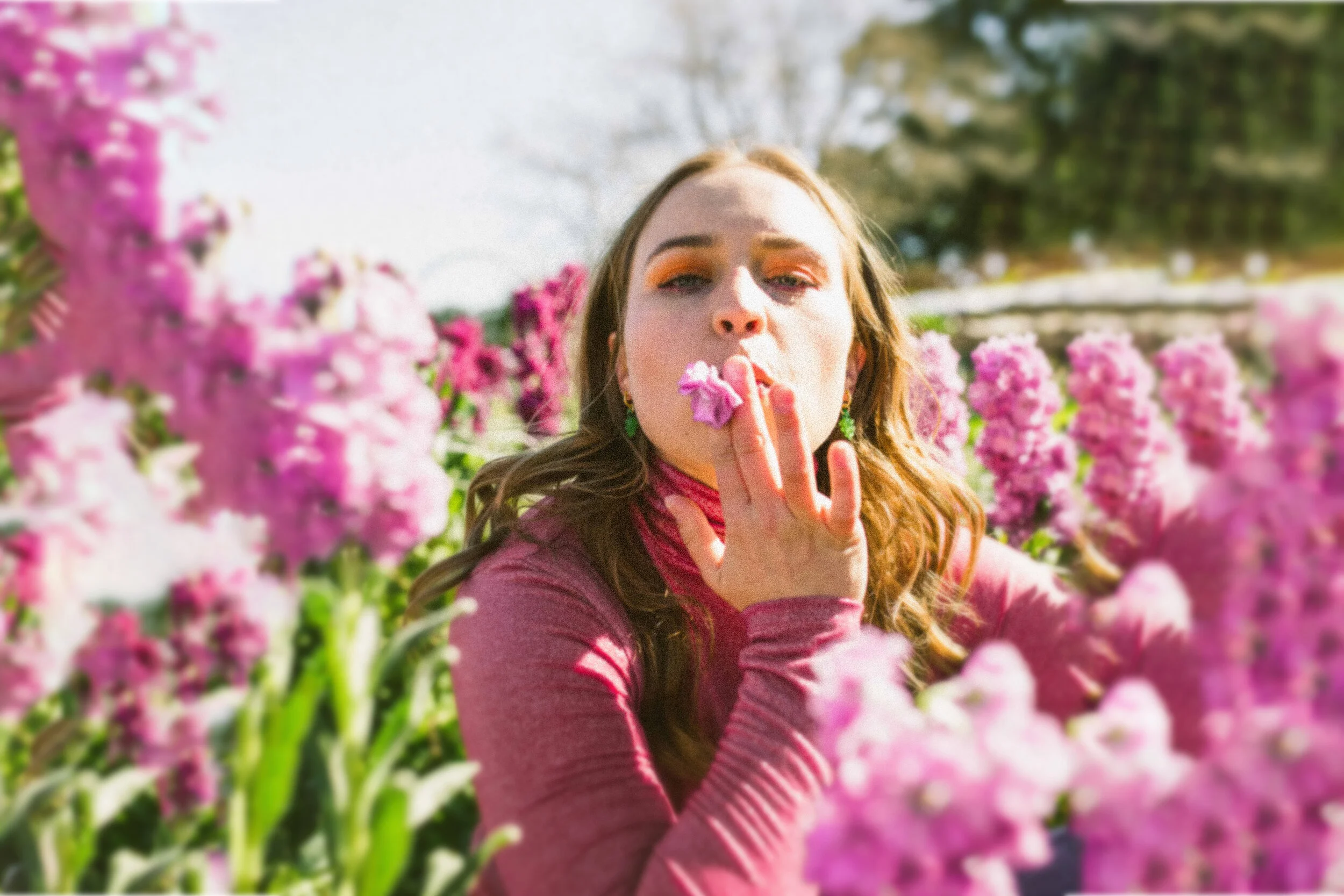 Credit: Dane Singleton