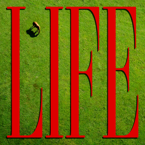 Johnny Hunter soars high with vivid new single 'Life'