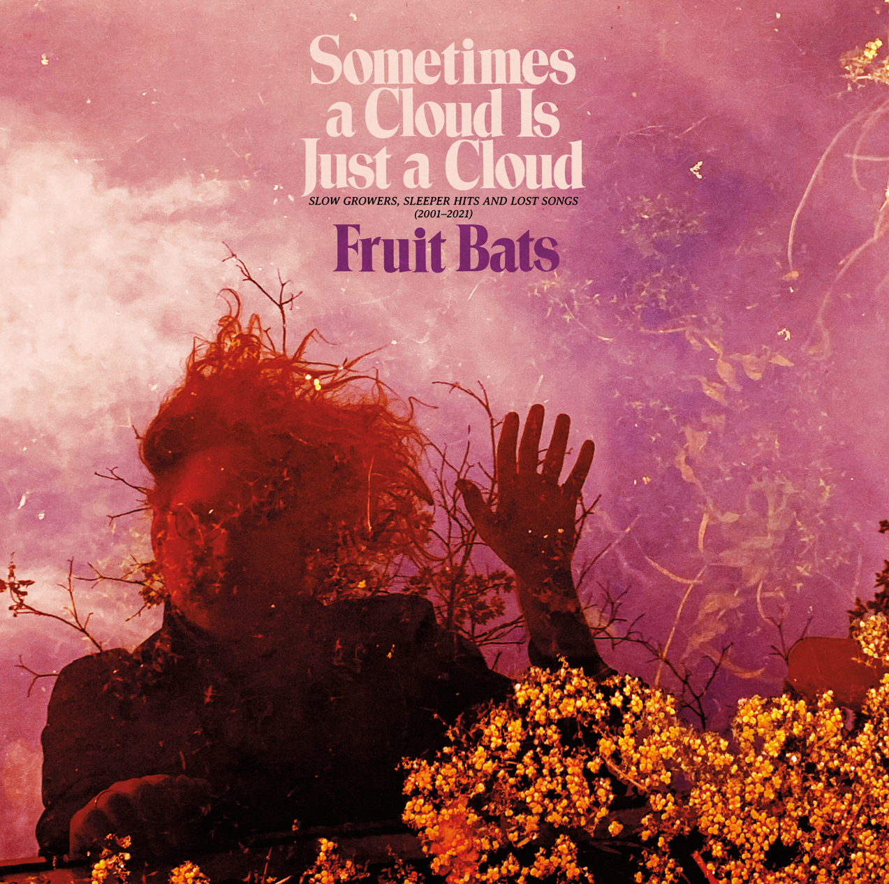 Song Review - Fruit Bats - 'Rips Me Up'
