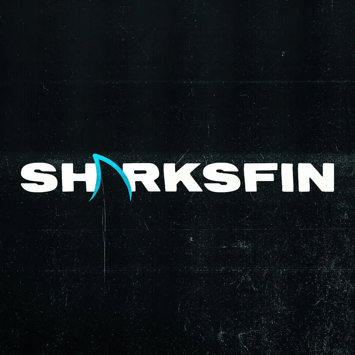 NO NO NO NO NO Release Tenacious New Single 'Sharksfin'