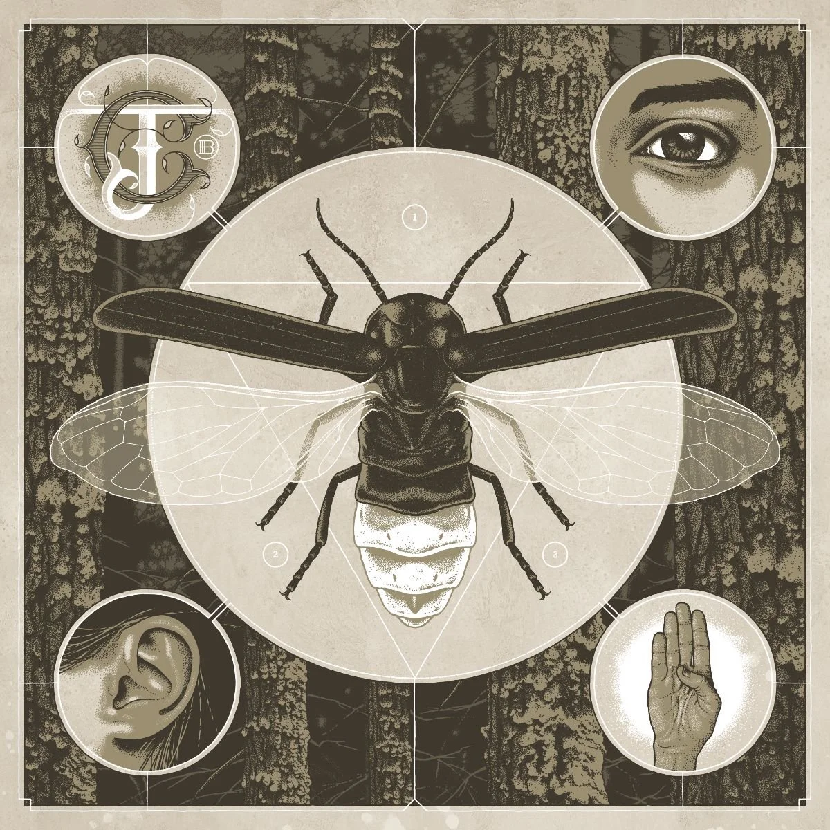 JERRY CANTRELL RELEASES NEW SINGLE “SIREN SONG”