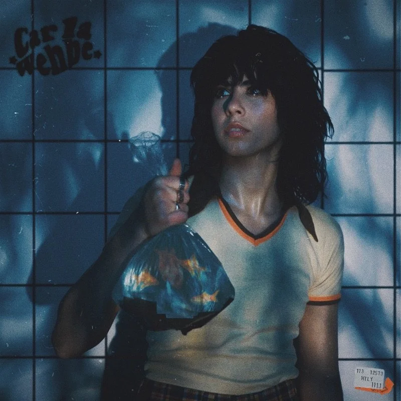 CARLA WEHBE RETURNS WITH NEW SINGLE &amp; VIDEO 'HURTS TO LOVE YOU'