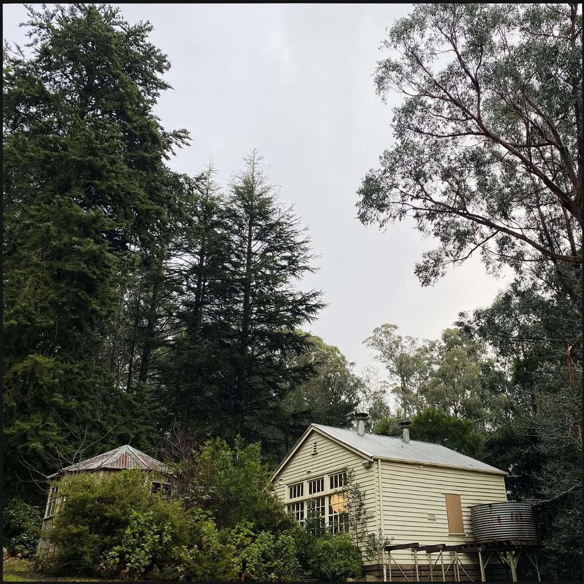 The Great Emu War Casualties Release Vivid Indie-Rock Track 'Boutique Suite In Funky Fitzroy'