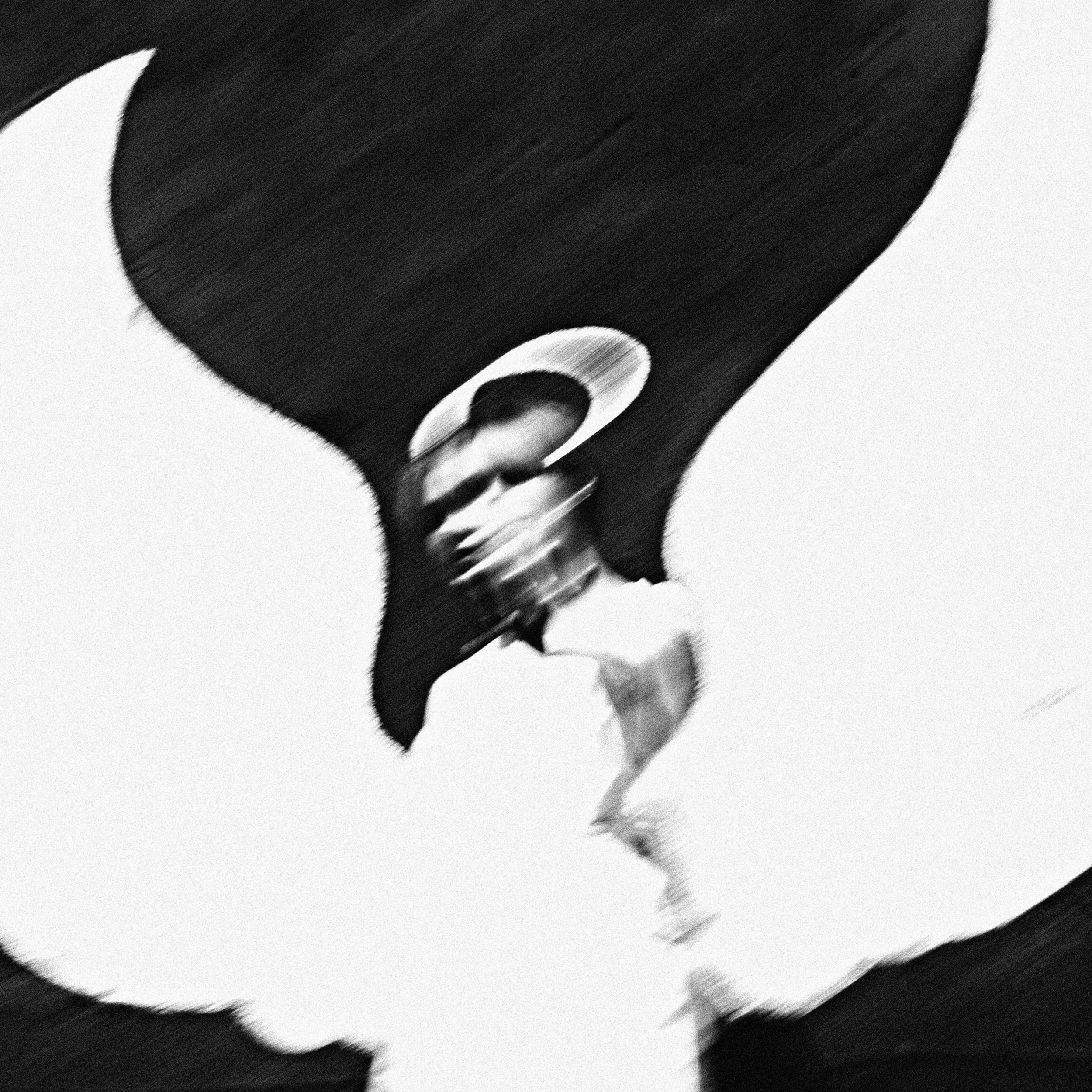 Thornhill Reveal Upcoming Album Details