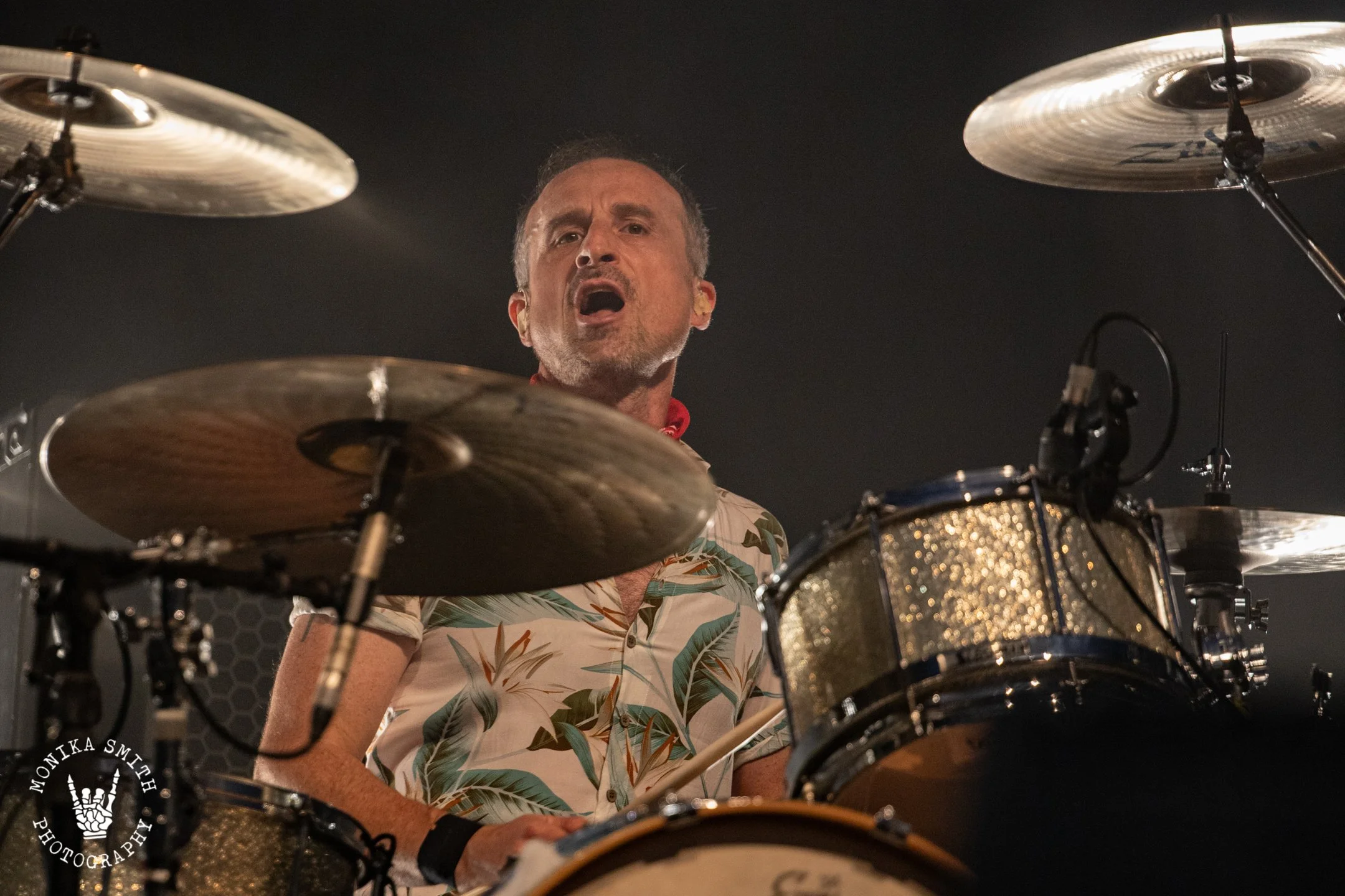 ALL HOODOO GURUS SOCIAL MEDIA USE ONLY NOT FOR PROMOTION-5790.jpg