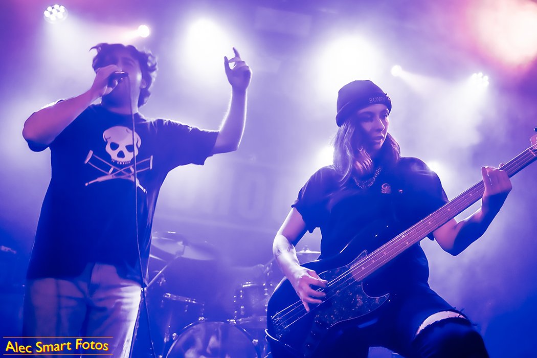 Bellweather_Darlinghurst_Sydney_12May2022_04 copy.jpg