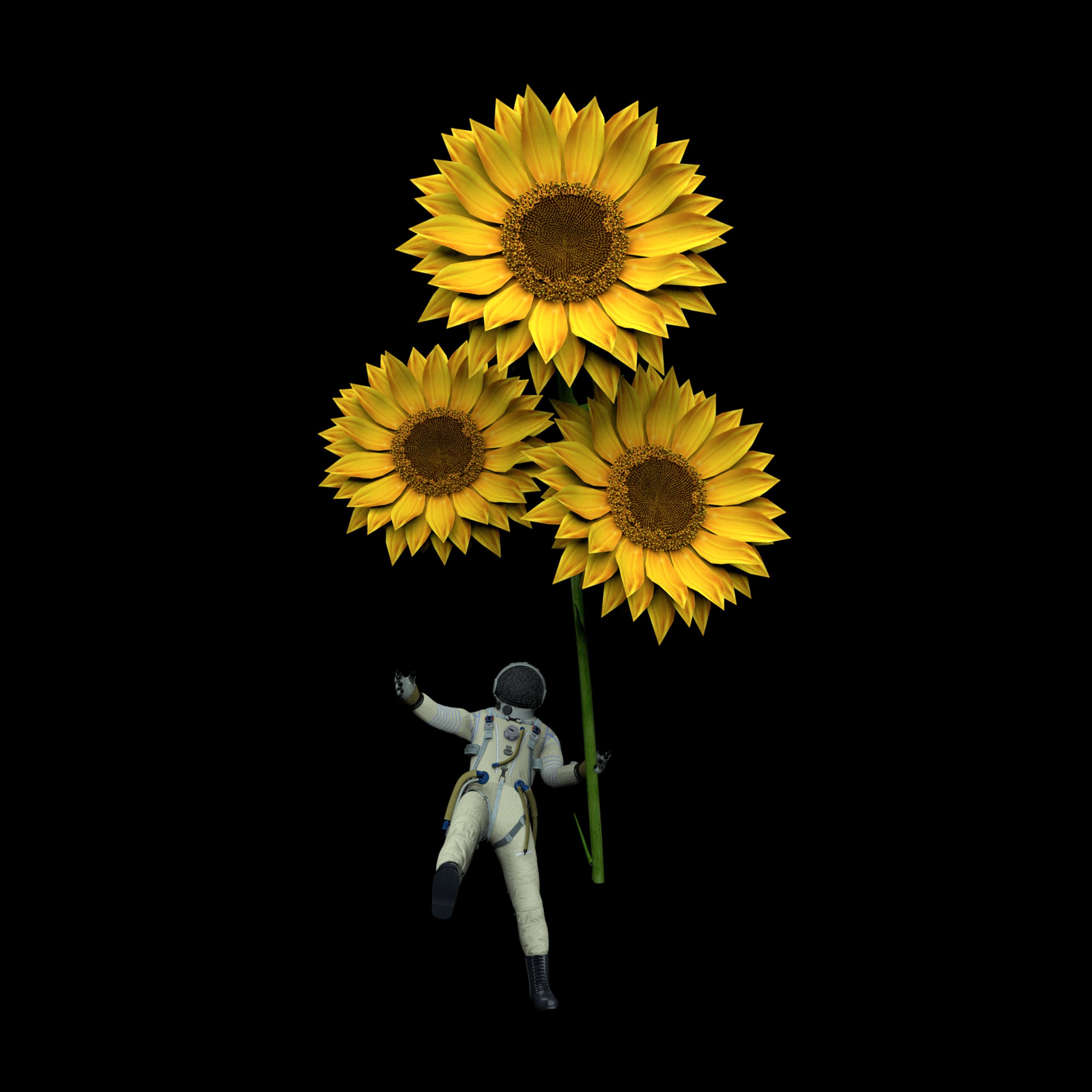 SOFIA ISELLA SHARES NEW SINGLE + VISUALISER ‘RAINBOW ROCKET RIDE’