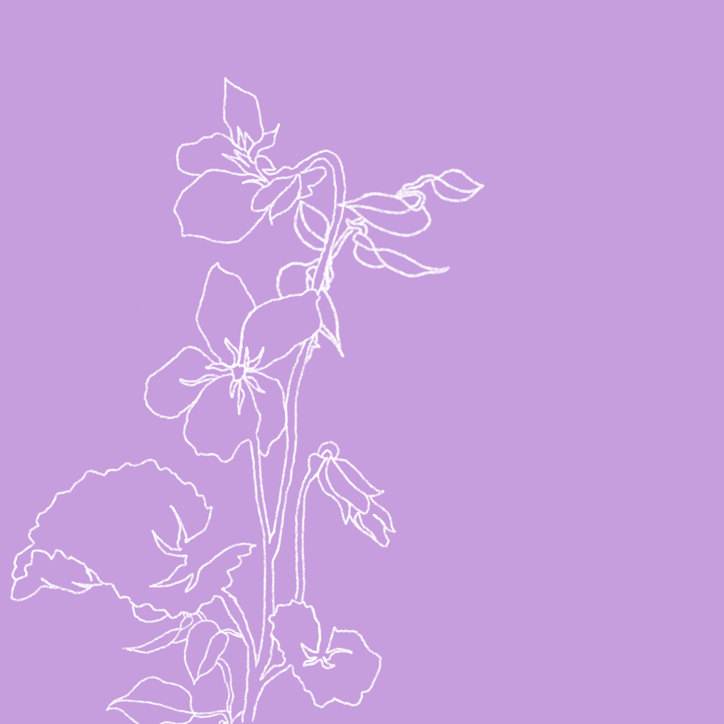 Brisbane's Yoste reveals stunning new EP Never The Same, featuring lead single 'Violet'