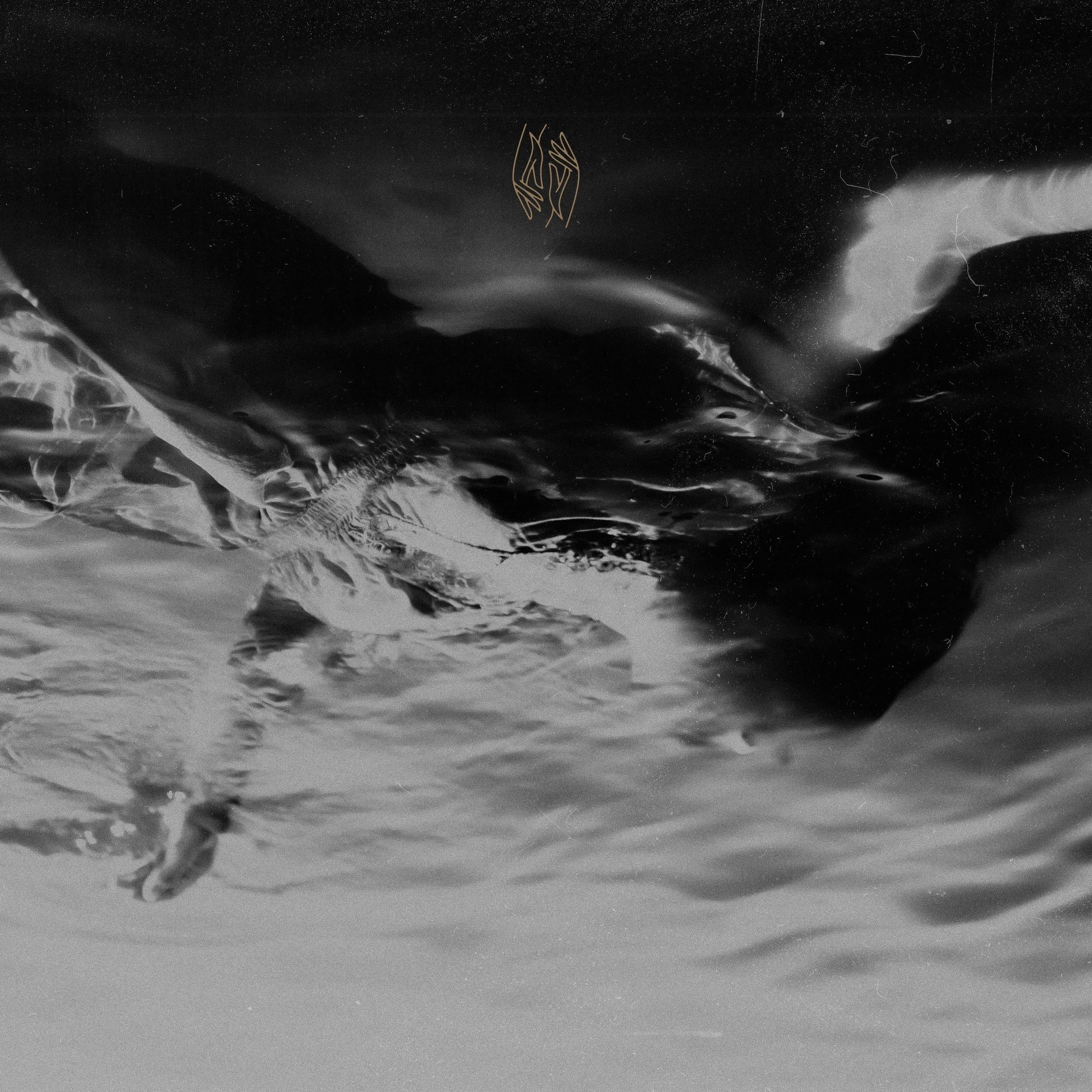 LIMBS Share New Video 'Blood And Hell' From New EP 'Coma Year' Out Now