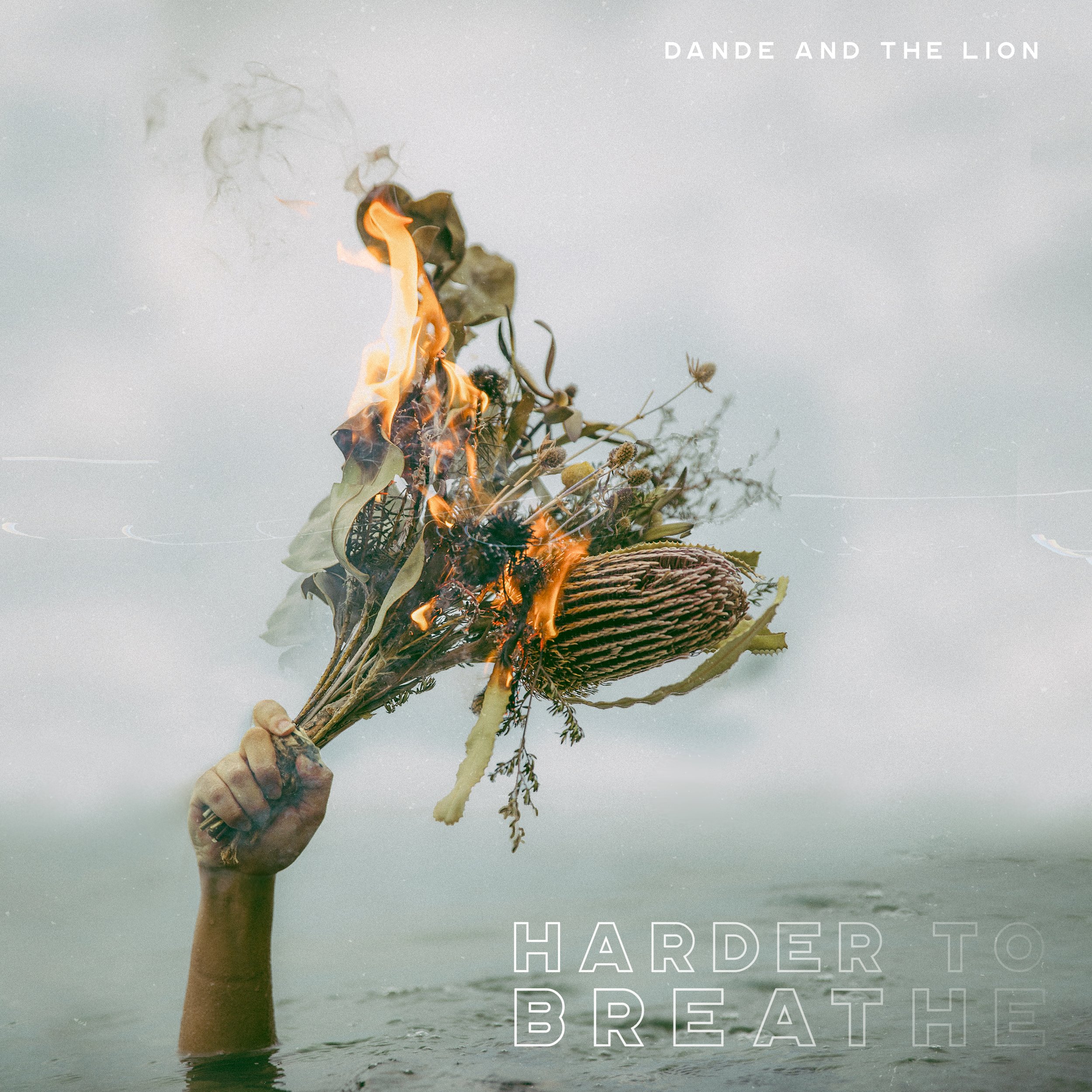 Song Review - Dande and The Lion - Harder to Breathe