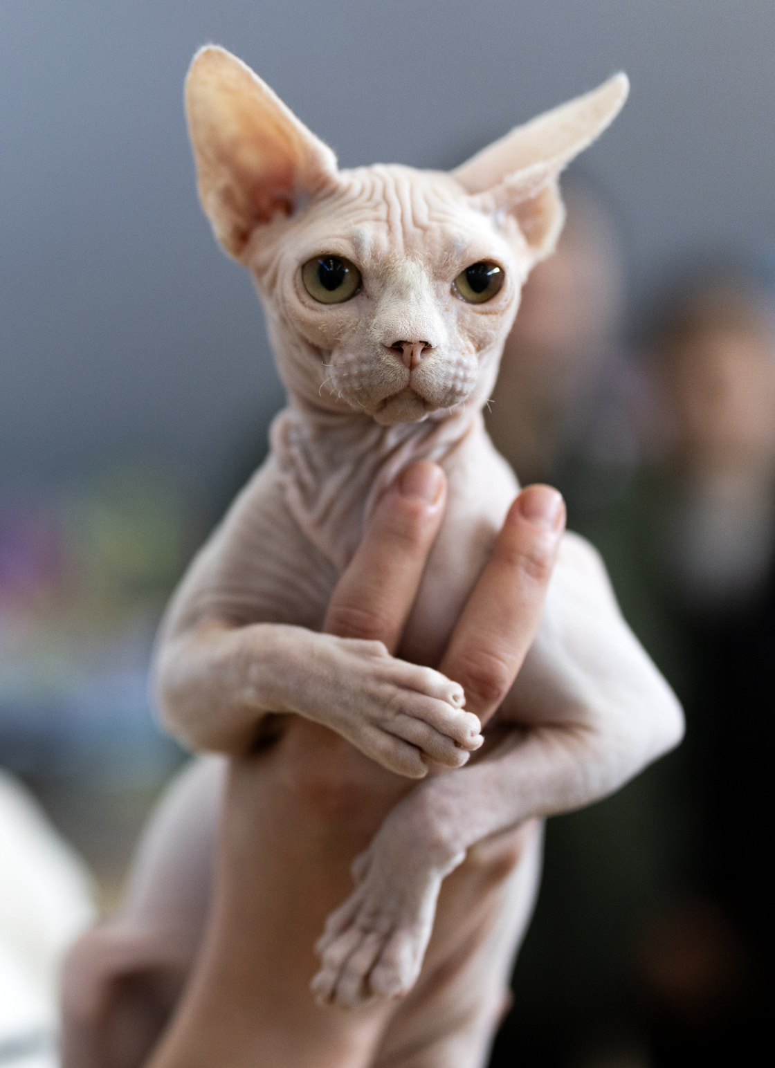 Screenshot 2026-01-10 at 18.38.53.png