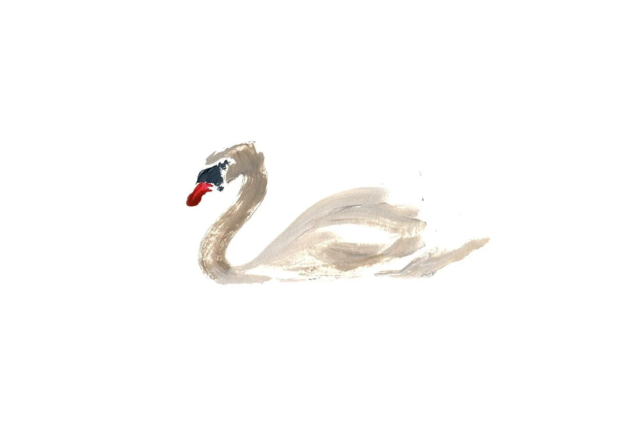 Ilustracion2.jpg