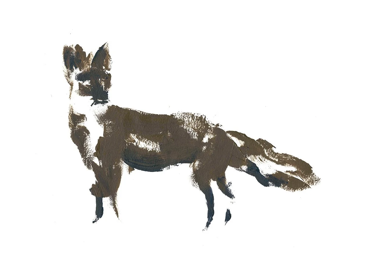Ilustracion1.jpg