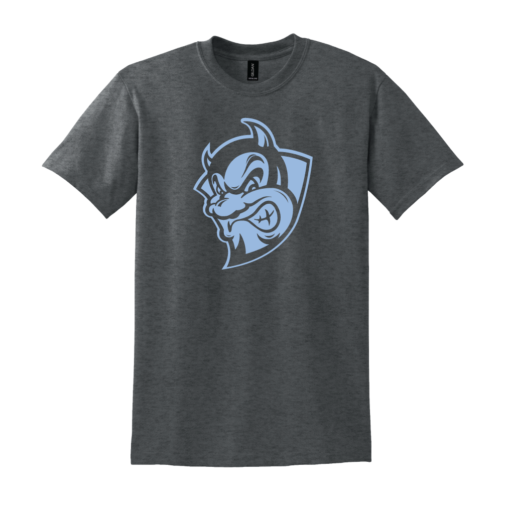 Youth Basic Tee #2 - Blue Demons