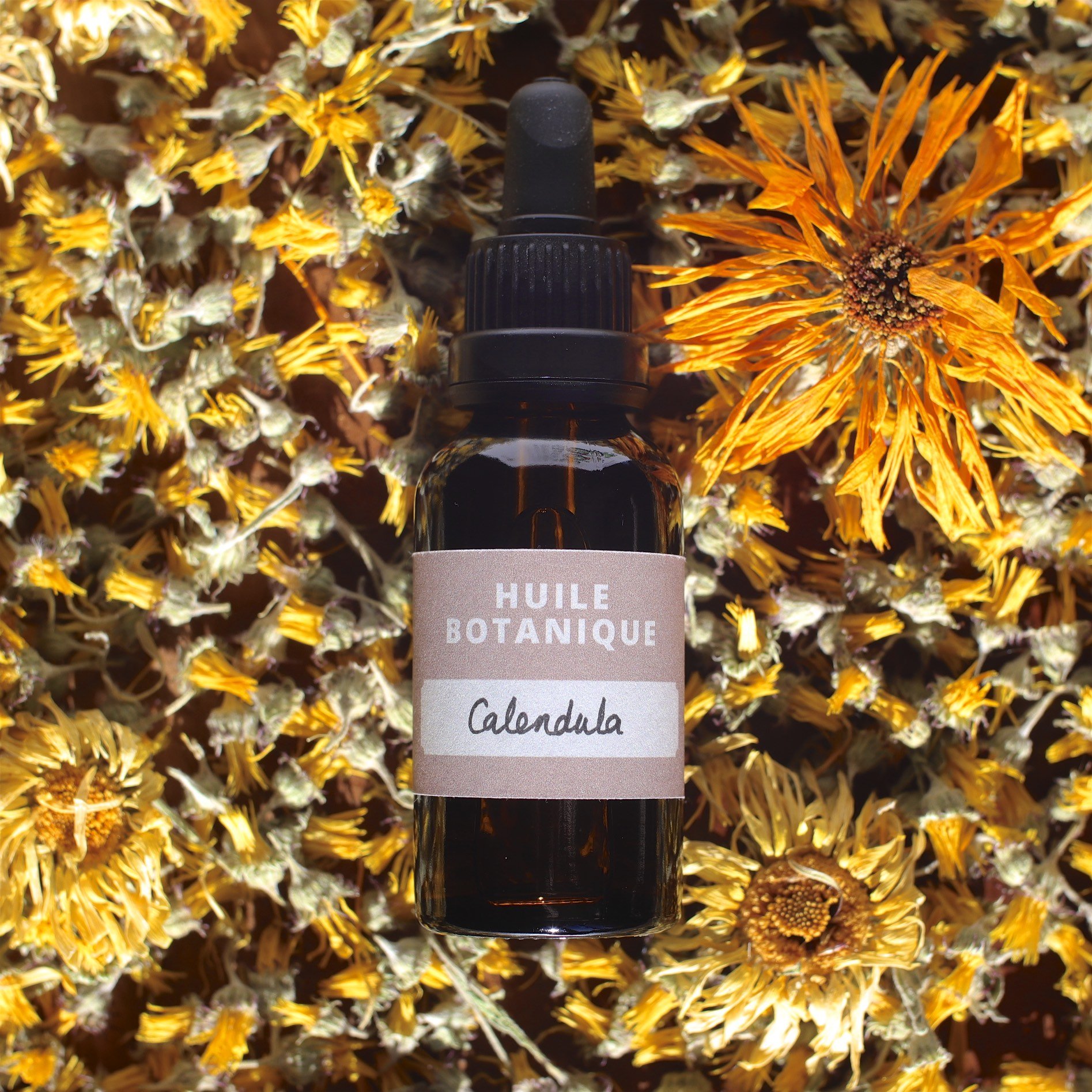 Huile Botanique de Calendula - Réparatrice