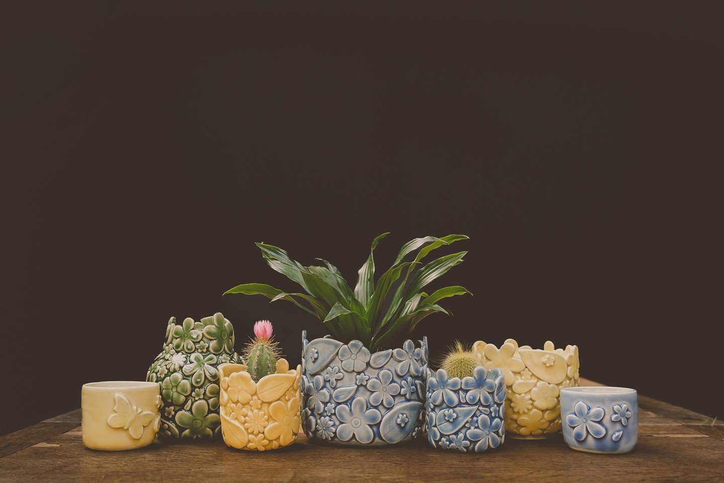 As part of a mini brand shoot that we ran a few weeks back, I got to photograph the lovely @amber_lion_ceramics pots! Arent they lovely!⁠
⁠
#smallbizlife #smallbiztips #smallbizowner #smallbizlove #meetthemaker #indieroller #independentbusiness #shop