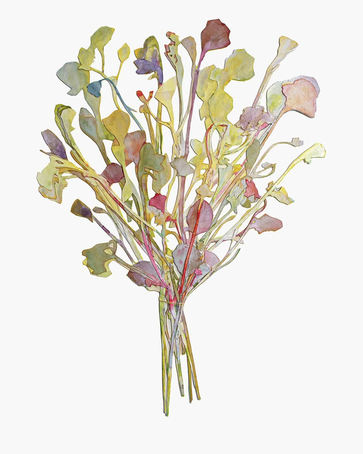 Spring Flowers, 2025. Watercolor on cut out paper. 56 x 76 cm | 22 x 30 inches