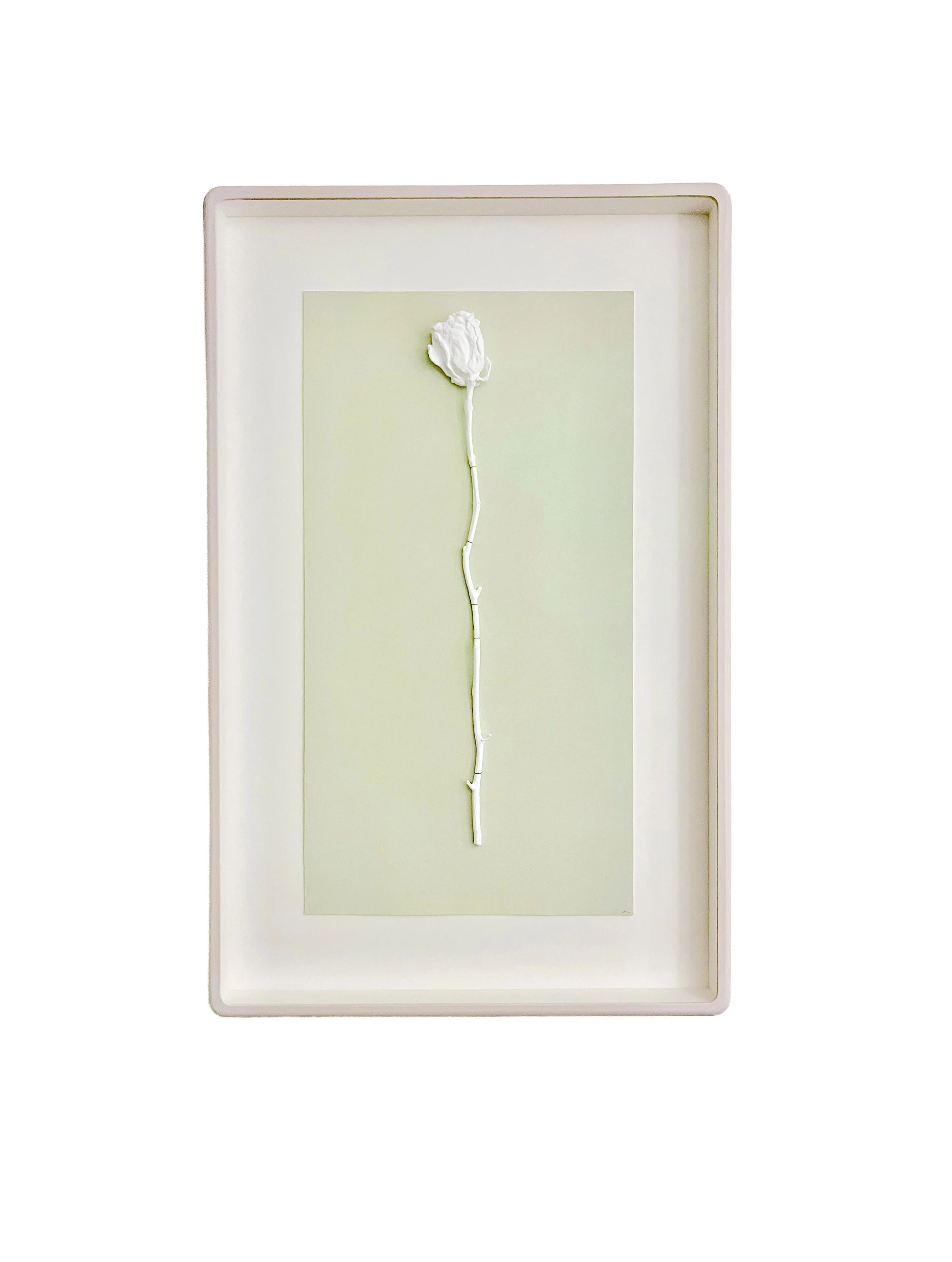 Briar Rose, 2025
Acrylic painted rose on dyed paper, silk thread.
49 x 77.5 cm | 19 x 30.5 inches (framed)
