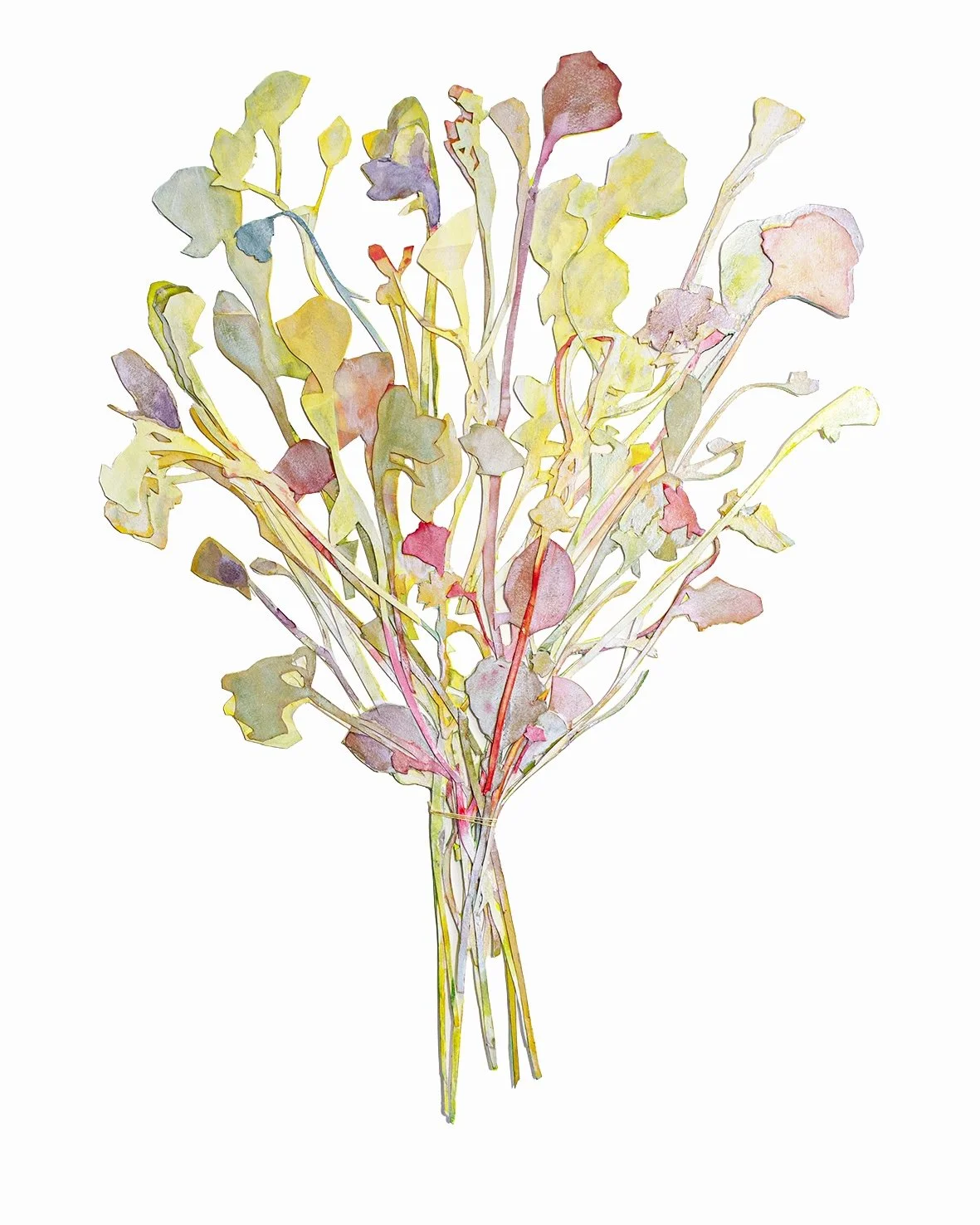 Spring Flowers, 2025
Watercolor on cut paper, dyed silk
56 x 76 cm | 22 x 30 inches