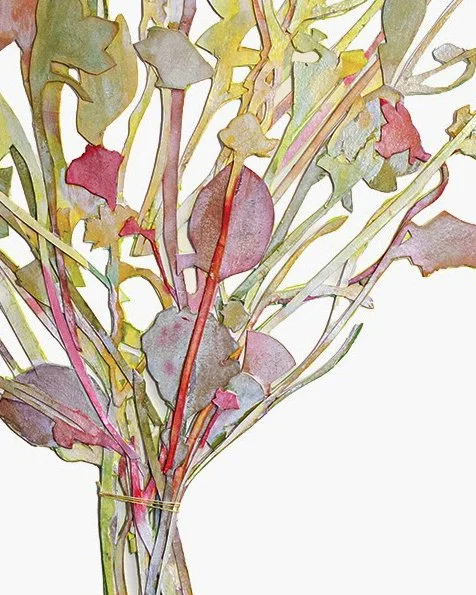 Alyssa_Norton_spring flowers detail copy 2.jpg