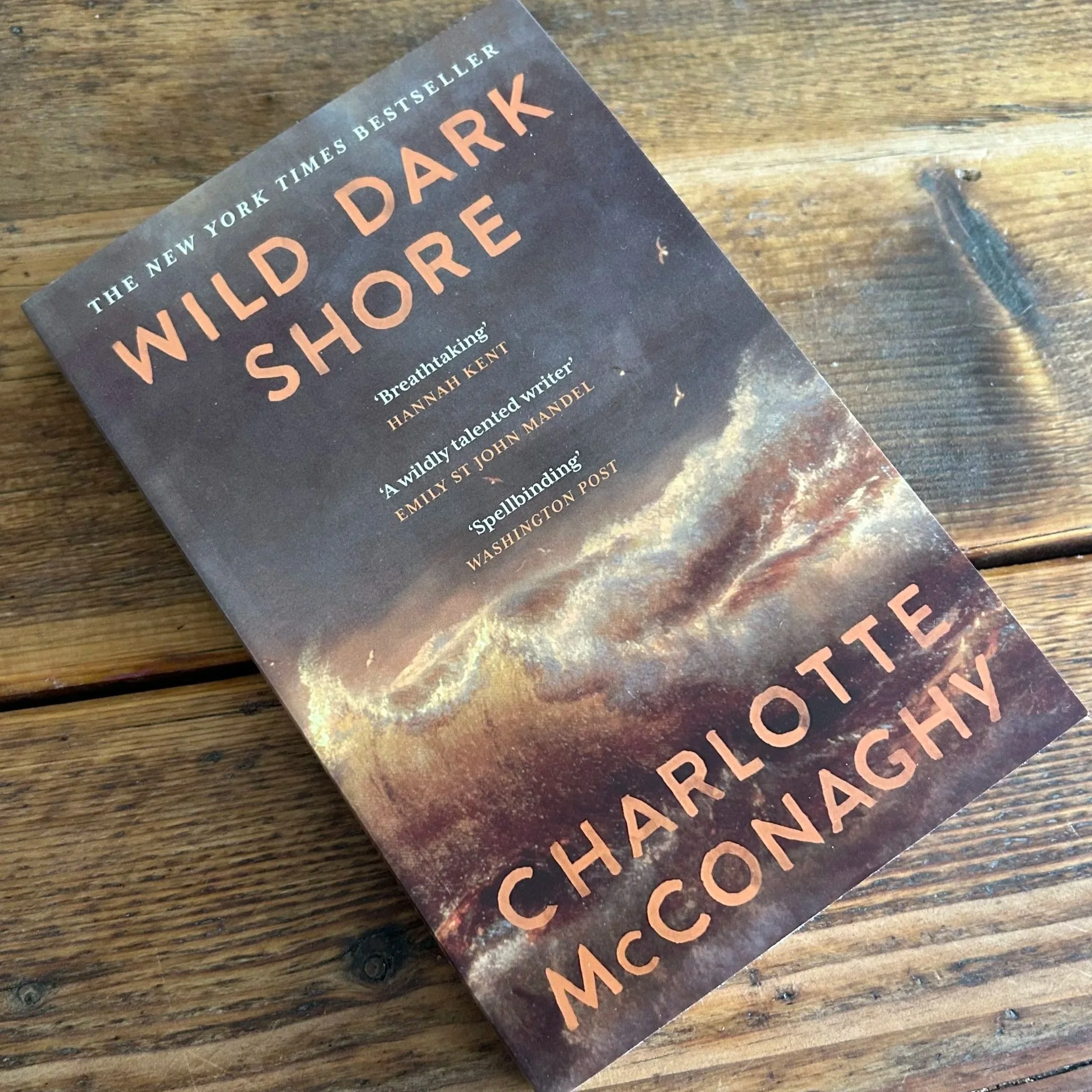 Wild Dark Shore (2025)