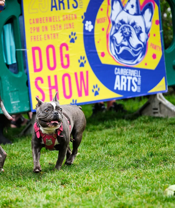19.06.15 Camberwell Arts Festival – The Art of the Party!!!! (10).jpg