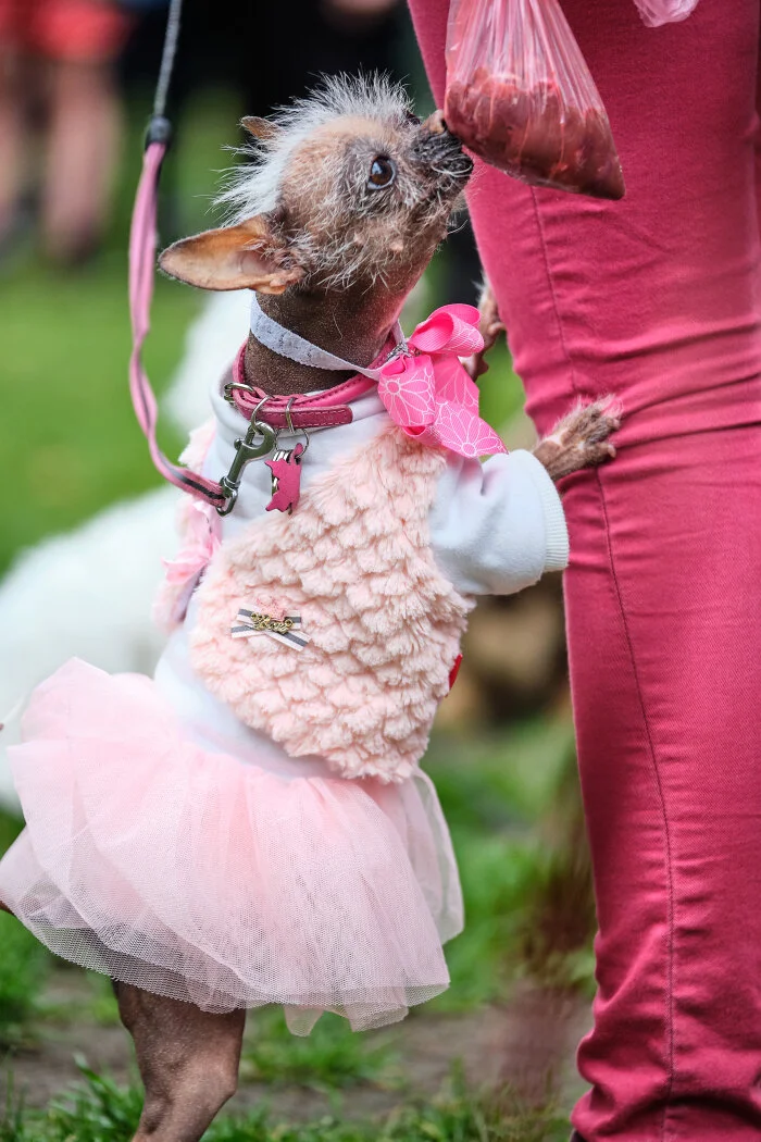 19.06.15 Camberwell Arts Festival – The Art of the Party!!!! (9).jpg