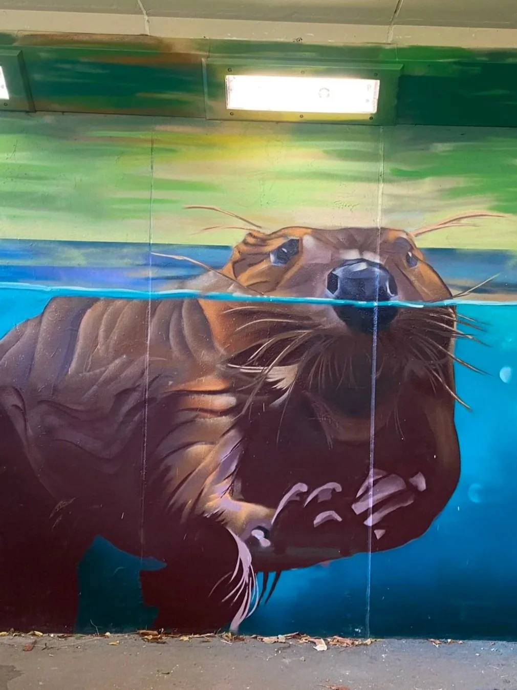 Ealing Beaver Project